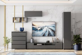 ДЕНВЕР Пенал (Графит серый) в Набережных Челнах - naberezhnye-chelny.mebel24.online | фото 4
