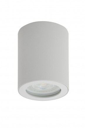 DK3007-WH Накладной светильник влагозащ., IP 44, 15 Вт, GU10, белый, алюминий в Набережных Челнах - naberezhnye-chelny.mebel24.online | фото 1
