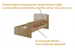 Дуглас (подростковая) М14 Кровать в Набережных Челнах - naberezhnye-chelny.mebel24.online | фото 6
