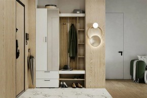 Гарнитур для прихожей Торонто в Набережных Челнах - naberezhnye-chelny.mebel24.online | фото 5
