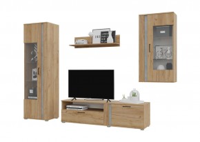 Гостиная Омега (Крафт золотой-Бетон) в Набережных Челнах - naberezhnye-chelny.mebel24.online | фото 2