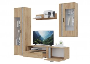 Гостиная Омега (Крафт золотой-Бетон) в Набережных Челнах - naberezhnye-chelny.mebel24.online | фото 4