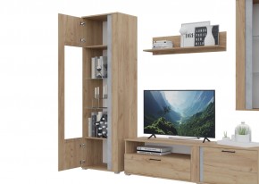 Гостиная Омега (Крафт золотой-Бетон) в Набережных Челнах - naberezhnye-chelny.mebel24.online | фото 5