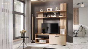 КАРОЛИНА Гостиная (дуб вотан/кашемир) в Набережных Челнах - naberezhnye-chelny.mebel24.online | фото