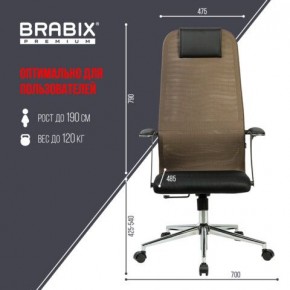 Кресло BRABIX PREMIUM "Ultimate EX-801" хром, плотная двойная сетка Х2, черное/коричневое, 532920 в Набережных Челнах - naberezhnye-chelny.mebel24.online | фото 6