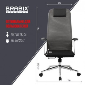 Кресло офисное BRABIX PREMIUM "Ultimate EX-801" хром, плотная двойная сетка Х2, черное/серое, 532918 в Набережных Челнах - naberezhnye-chelny.mebel24.online | фото 5