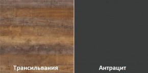 Кухонный гарнитур угловой Трансильвания 2400x1600 мм (Стол. 38 мм) в Набережных Челнах - naberezhnye-chelny.mebel24.online | фото 3