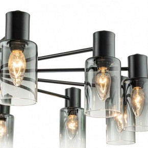Люстра на штанге Escada Diversity 2120/12P Black в Набережных Челнах - naberezhnye-chelny.mebel24.online | фото 6