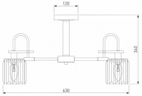 Люстра на штанге Eurosvet Tenia 70090/5 графит в Набережных Челнах - naberezhnye-chelny.mebel24.online | фото 4