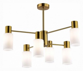 Люстра на штанге EVOLUCE Gessi SLE1139-302-06 в Набережных Челнах - naberezhnye-chelny.mebel24.online | фото 2