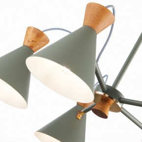 Люстра на штанге EVOLUCE Modica SLE125112-05 в Набережных Челнах - naberezhnye-chelny.mebel24.online | фото 3