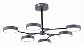 Люстра на штанге EVOLUCE Monta SLE6003-702-06 в Набережных Челнах - naberezhnye-chelny.mebel24.online | фото 3
