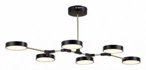 Люстра на штанге EVOLUCE Monta SLE6004-402-06 в Набережных Челнах - naberezhnye-chelny.mebel24.online | фото 4