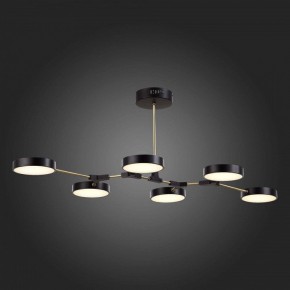 Люстра на штанге EVOLUCE Monta SLE6004-402-06 в Набережных Челнах - naberezhnye-chelny.mebel24.online | фото 6