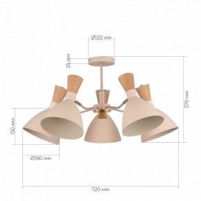 Люстра на штанге EVOLUCE VISTA SLE1256-502-05 в Набережных Челнах - naberezhnye-chelny.mebel24.online | фото 8