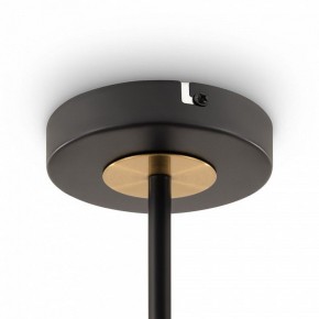 Люстра на штанге Freya Hats FR5370CL-04B в Набережных Челнах - naberezhnye-chelny.mebel24.online | фото 6