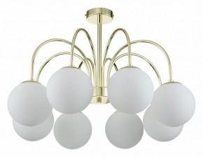 Люстра на штанге Indigo Voga 13017/8R Gold в Набережных Челнах - naberezhnye-chelny.mebel24.online | фото 1