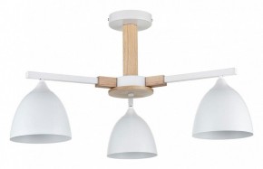 Люстра на штанге Lumion Colange 8095/3C в Набережных Челнах - naberezhnye-chelny.mebel24.online | фото