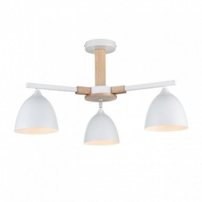 Люстра на штанге Lumion Colange 8095/3C в Набережных Челнах - naberezhnye-chelny.mebel24.online | фото 2