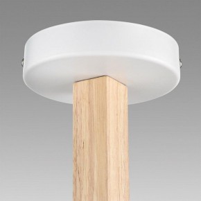 Люстра на штанге Lumion Colange 8095/3C в Набережных Челнах - naberezhnye-chelny.mebel24.online | фото 9