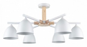 Люстра на штанге Lumion Colange 8095/6C в Набережных Челнах - naberezhnye-chelny.mebel24.online | фото