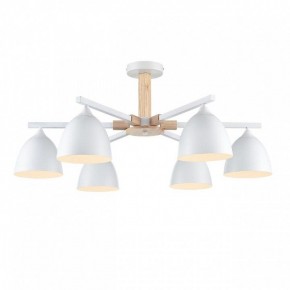 Люстра на штанге Lumion Colange 8095/6C в Набережных Челнах - naberezhnye-chelny.mebel24.online | фото 2