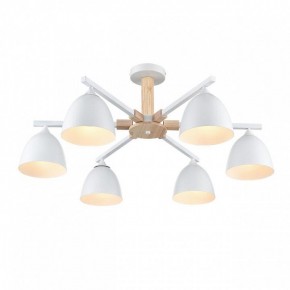 Люстра на штанге Lumion Colange 8095/6C в Набережных Челнах - naberezhnye-chelny.mebel24.online | фото 3
