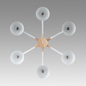 Люстра на штанге Lumion Colange 8095/6C в Набережных Челнах - naberezhnye-chelny.mebel24.online | фото 4