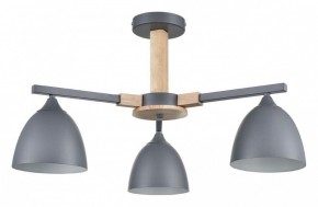 Люстра на штанге Lumion Colange 8096/3C в Набережных Челнах - naberezhnye-chelny.mebel24.online | фото