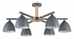 Люстра на штанге Lumion Colange 8096/6C в Набережных Челнах - naberezhnye-chelny.mebel24.online | фото