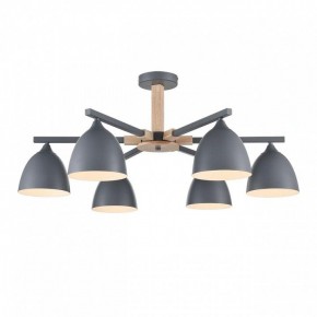 Люстра на штанге Lumion Colange 8096/6C в Набережных Челнах - naberezhnye-chelny.mebel24.online | фото 2