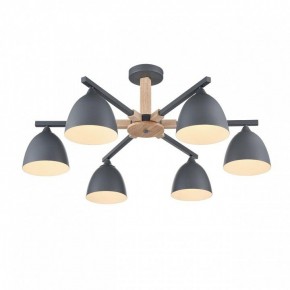 Люстра на штанге Lumion Colange 8096/6C в Набережных Челнах - naberezhnye-chelny.mebel24.online | фото 3