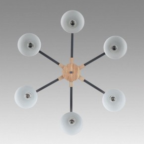 Люстра на штанге Lumion Colange 8096/6C в Набережных Челнах - naberezhnye-chelny.mebel24.online | фото 4