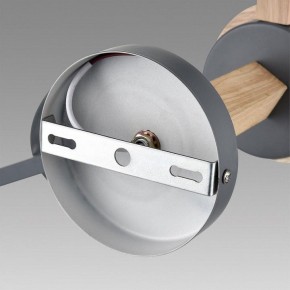 Люстра на штанге Lumion Colange 8096/6C в Набережных Челнах - naberezhnye-chelny.mebel24.online | фото 6