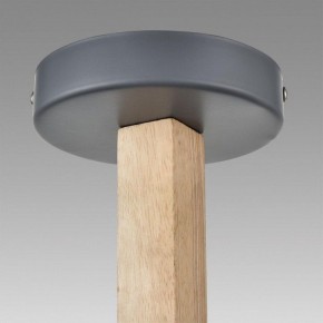 Люстра на штанге Lumion Colange 8096/6C в Набережных Челнах - naberezhnye-chelny.mebel24.online | фото 9