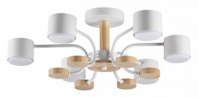 Люстра на штанге Lumion Rondo 8231/6C в Набережных Челнах - naberezhnye-chelny.mebel24.online | фото