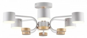 Люстра на штанге Lumion Rondo 8231/6C в Набережных Челнах - naberezhnye-chelny.mebel24.online | фото 2