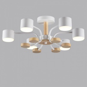 Люстра на штанге Lumion Rondo 8231/6C в Набережных Челнах - naberezhnye-chelny.mebel24.online | фото 4