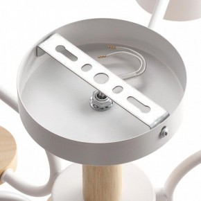 Люстра на штанге Lumion Rondo 8231/6C в Набережных Челнах - naberezhnye-chelny.mebel24.online | фото 6