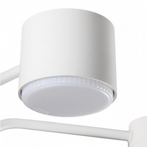 Люстра на штанге Lumion Rondo 8231/6C в Набережных Челнах - naberezhnye-chelny.mebel24.online | фото 7