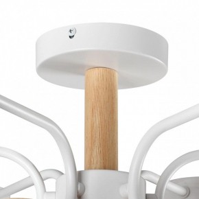Люстра на штанге Lumion Rondo 8231/6C в Набережных Челнах - naberezhnye-chelny.mebel24.online | фото 8