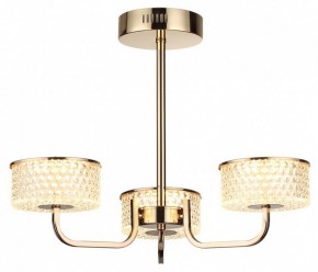 Люстра на штанге Lumion Venice 6579/40CL в Набережных Челнах - naberezhnye-chelny.mebel24.online | фото 5