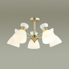 Люстра на штанге Lumion Wilma 4535/5C в Набережных Челнах - naberezhnye-chelny.mebel24.online | фото 3
