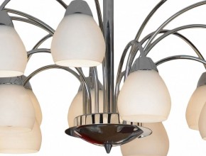 Люстра на штанге Lussole Apiro GRLSF-2403-15 в Набережных Челнах - naberezhnye-chelny.mebel24.online | фото 12