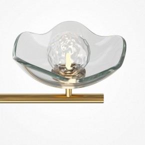 Люстра на штанге Maytoni Miracle MOD207PL-05BS в Набережных Челнах - naberezhnye-chelny.mebel24.online | фото 5