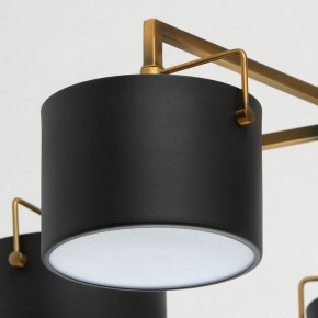 Люстра на штанге MW-Light Сайрус 2 721010205 в Набережных Челнах - naberezhnye-chelny.mebel24.online | фото 10