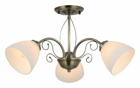 Люстра на штанге Rivoli Sue Б0060985 в Набережных Челнах - naberezhnye-chelny.mebel24.online | фото 2
