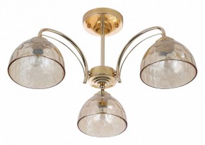 Люстра на штанге Rivoli Terri Б0060988 в Набережных Челнах - naberezhnye-chelny.mebel24.online | фото 2