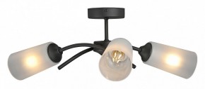 Люстра на штанге Vitaluce V2850 V2850-1/3PL в Набережных Челнах - naberezhnye-chelny.mebel24.online | фото
