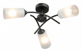 Люстра на штанге Vitaluce V2850 V2850-1/3PL в Набережных Челнах - naberezhnye-chelny.mebel24.online | фото 2